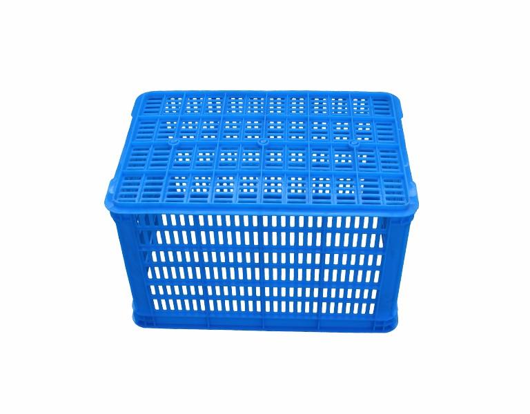 东方彩520塑料周转筐